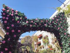 -The Grounds of Alexandria