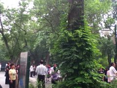 -紫竹院公园冰场