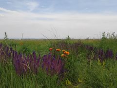 -敕勒川草原文化旅游区