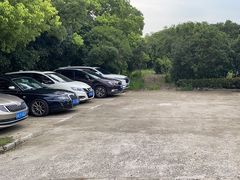 -马陆小张葡萄园农家乐