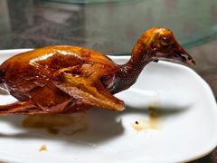 -东鸽皇(奥园·中环广场店)