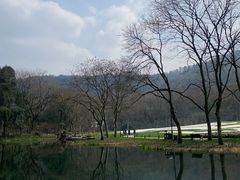 -中国茶叶博物馆(双峰馆区)