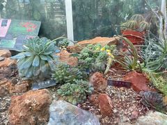 -国家植物园南园