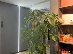 -沐风阁·茶室·棋牌