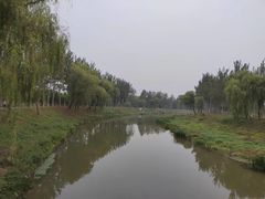 -东郊湿地公园