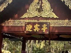 -西双版纳傣族园