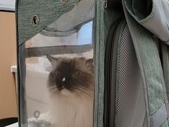 -瑞派康怡24h宠物医院·犬猫医疗中心·微创绝育(瑞景分院)
