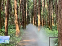 -同里国家湿地公园