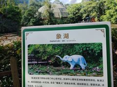 -野象谷景区