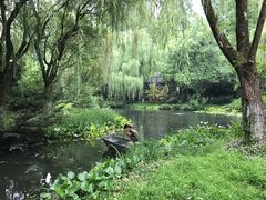 -西湖天地