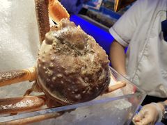 -乔哥铭洋海鲜自助(皇城恒隆广场店)