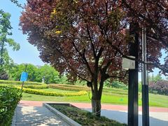 -城市运动公园(未央区)