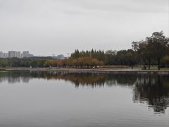 -尚贤河湿地