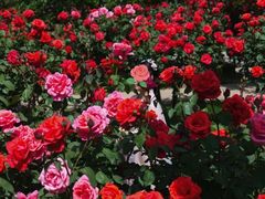 -郑州中国绿化博览园