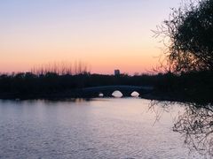 -大兴滨河森林公园