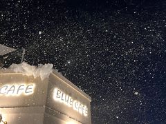 -Blue Concept Cafe&Farm·關於藍