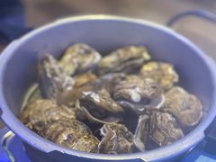 -千岛蚝高压锅生蚝·人参火锅(白云万达店)