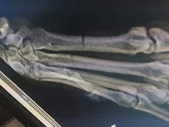 -申普宠物医院·心脏介入·心血管微创(总院)