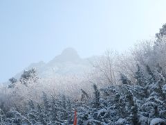 -终南山国家森林公园