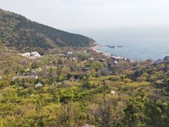 -青岛崂山太清宫