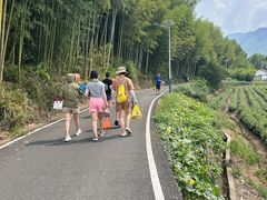 -安吉龙王山峡谷漂流