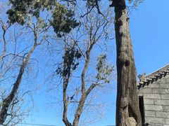 -终南山南五台景区