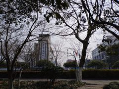 -杭州上海世界外国语小学