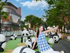 -东莞松山湖万象汇