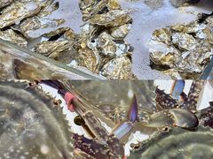 -喝丢一只鞋海鲜烧烤·海肠捞饭(东关街店)