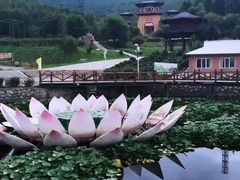 -帽儿山风景区