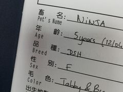 -申普宠物医院·心脏介入·心血管微创(总院)