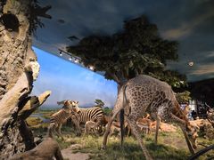 -国家自然博物馆