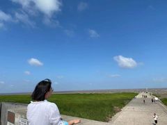 -南汇嘴观海公园