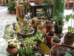 android_upload_pic-源一咖啡馆(麒麟巷步行街店)