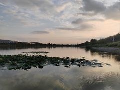 -羊山湖公园
