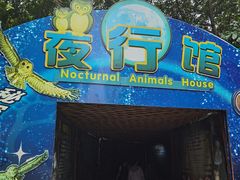 -广州长隆飞鸟乐园