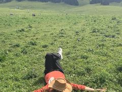 -新疆那拉提国家旅游度假区