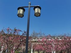 -苏州上方山国家森林公园
