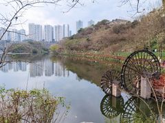 -重庆彩云湖湿地公园