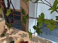 -Deer Park鹿园西餐(仁恒置地广场店)