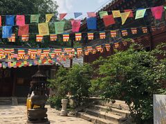 -北京上方山国家森林公园