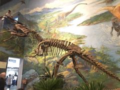 -自贡恐龙博物馆