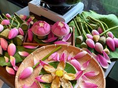 -金陵家宴·金陵春·南京菜(夫子庙店)