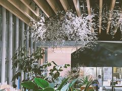 -Seesaw Coffee(朝阳大悦城店)