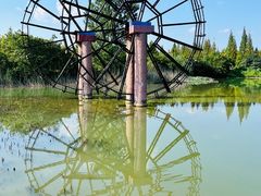 -泗洪洪泽湖湿地景区