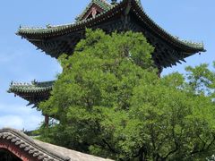 -少林寺景区