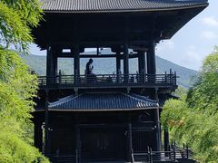-大唐贡茶院