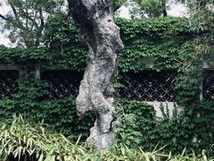 -惠山古镇·寄畅园