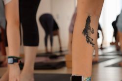 -酉嘉瑜伽YO+YOGA