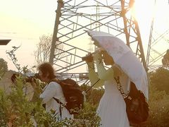 -王借岗森林公园